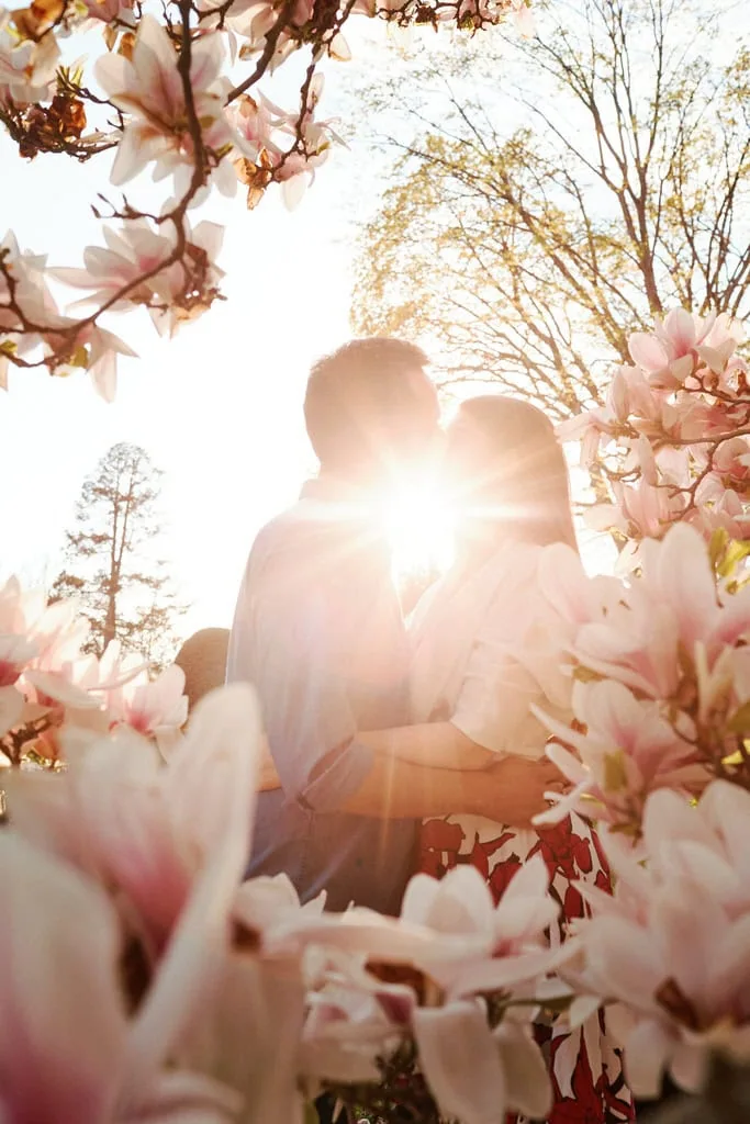 Couple devant un cerisier en fleur avec le soleil couchant