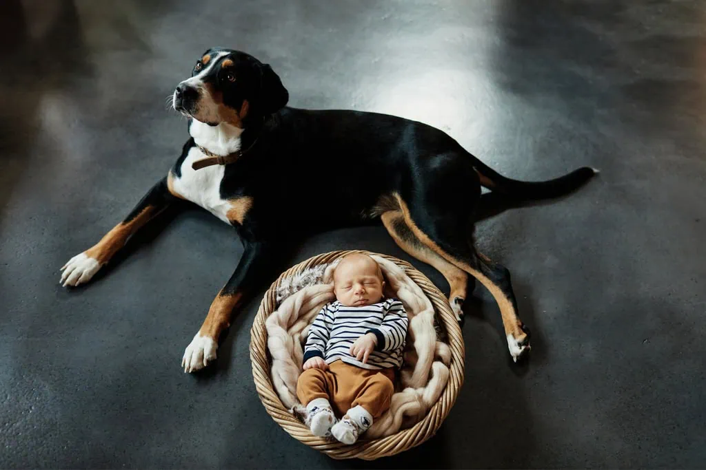 shooting photo bébé