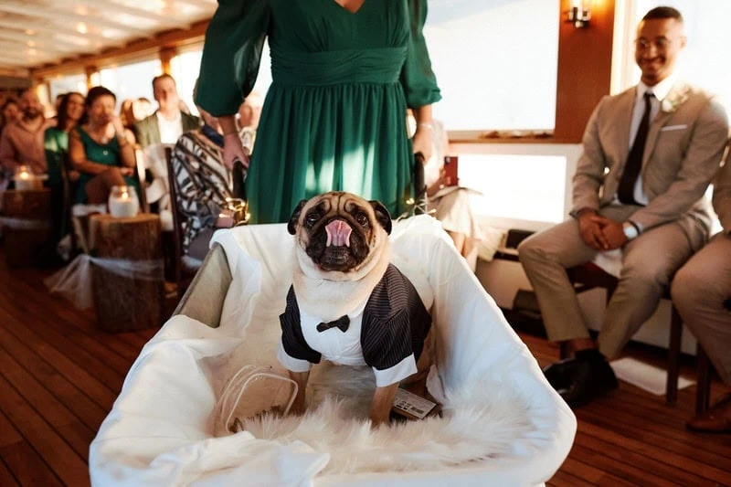 photographe de mariage