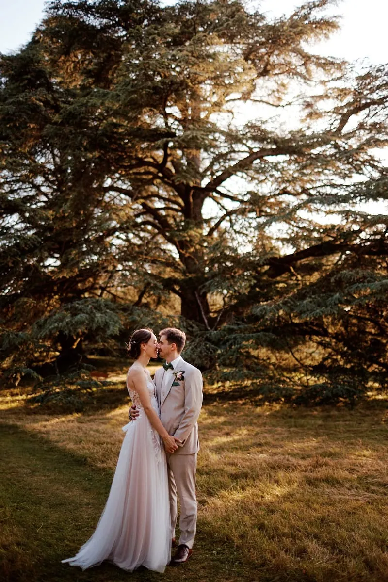Couple de mariés s’embrassant sous un grand arbre