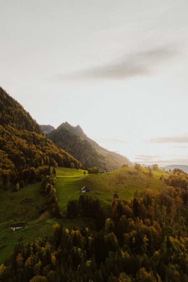 Montagnes verdoyantes au coucher du soleil