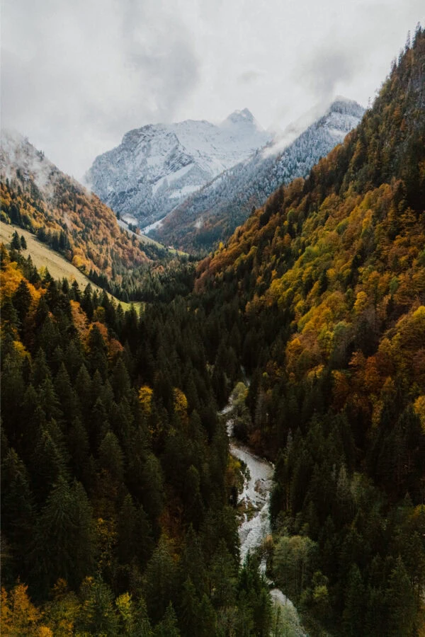 Vallée montagneuse boisée aux sommets enneigés