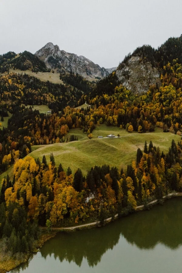 Montagnes et forêt d’automne au bord d’un lac