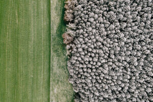 Vue aérienne champ vert et forêt enneigée