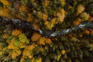 Vue aérienne forêt automnale traversée par rivière
