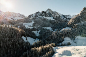 Montagnes enneigées et forêt au lever du soleil