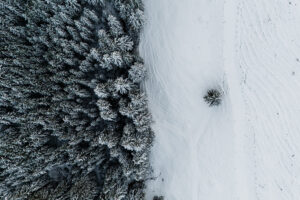 Vue aérienne forêt enneigée et plaine blanche